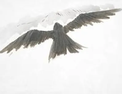 Постер Ворон