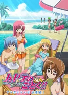 Постер Боевой дворецкий Хаятэ!! OVA